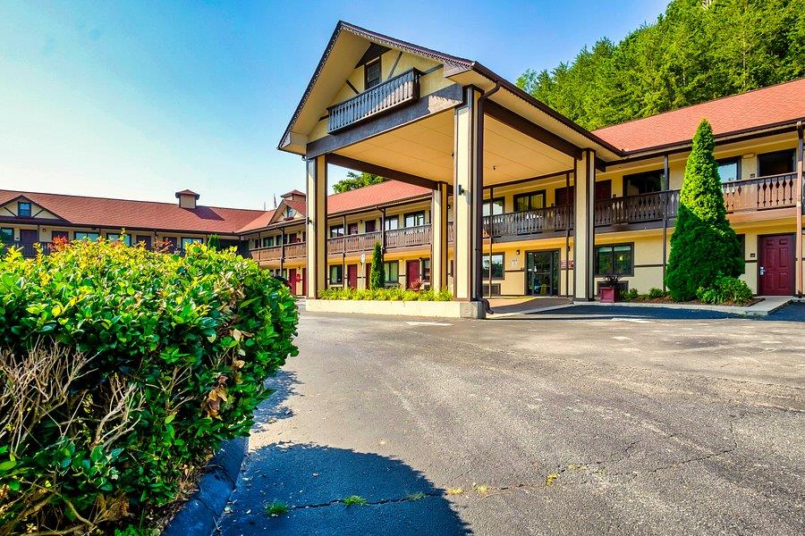 pet friendly hotels in helen ga