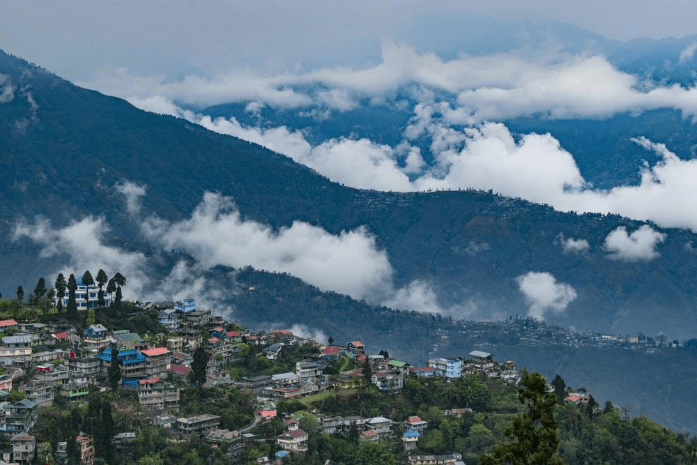 darjeeling,