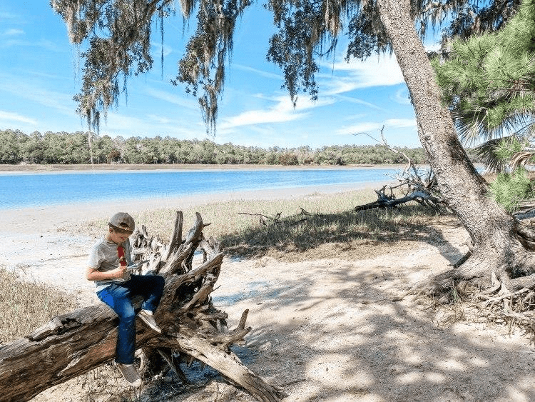 Skidaway Island