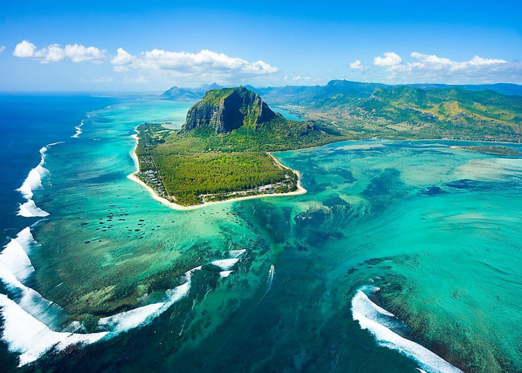 mauritius, trippybug , 