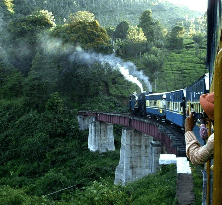 darjeeling, cheap hotels, india tourism, trippybug, 