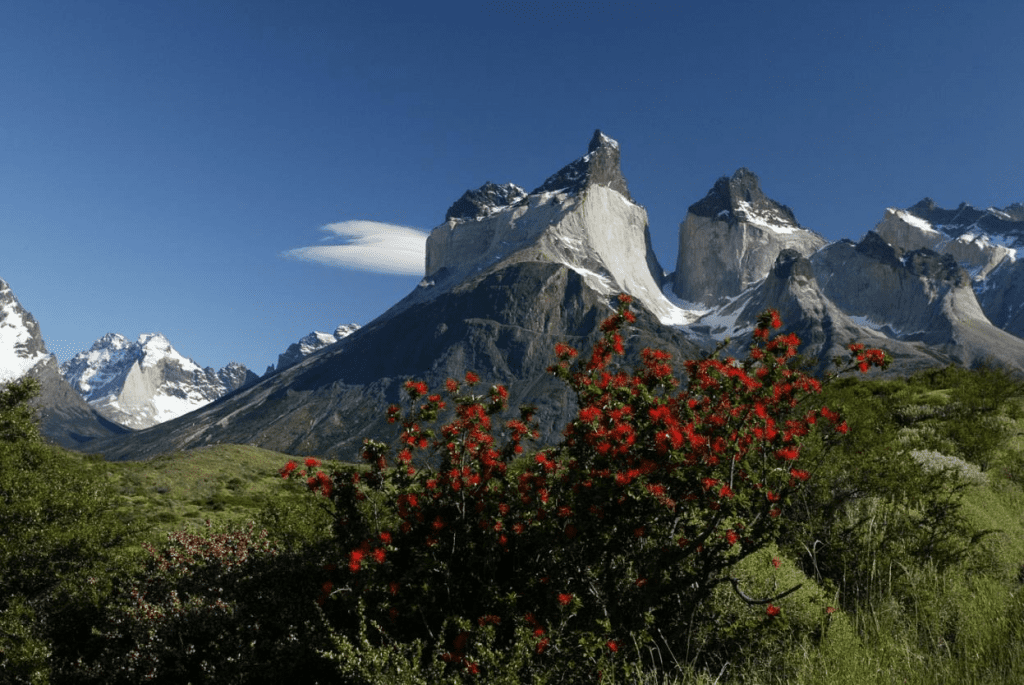 torres del paine national park, chile,