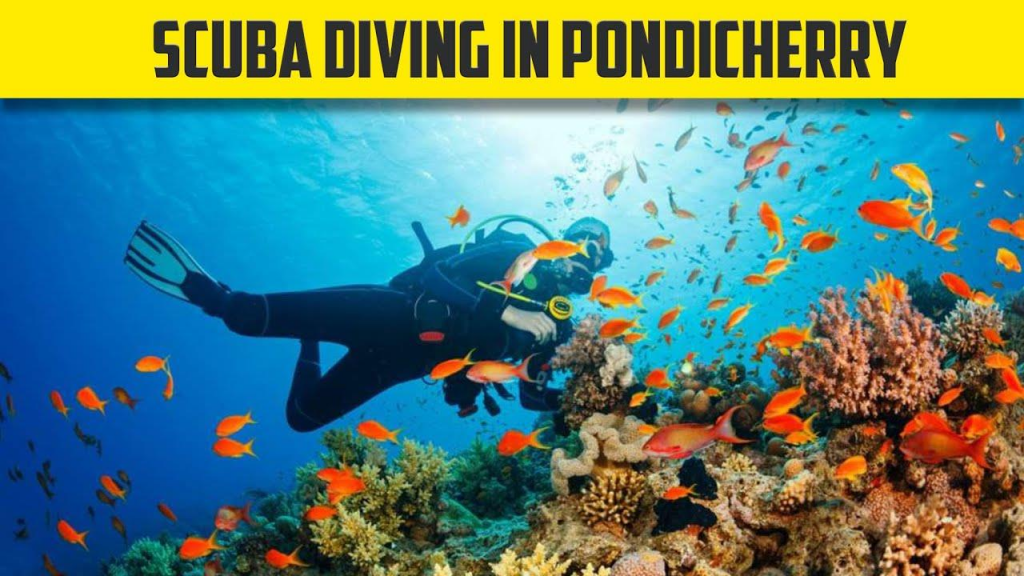 scuba diving in pondicherry, places to visit in pondicherry, 