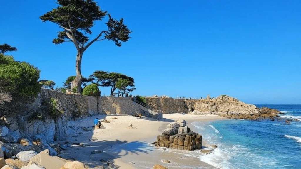 Monterey Beach-Best Beaches In California