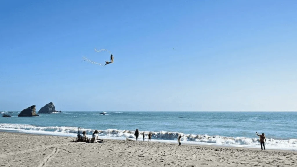 Navarro Beach-Best Beaches In California